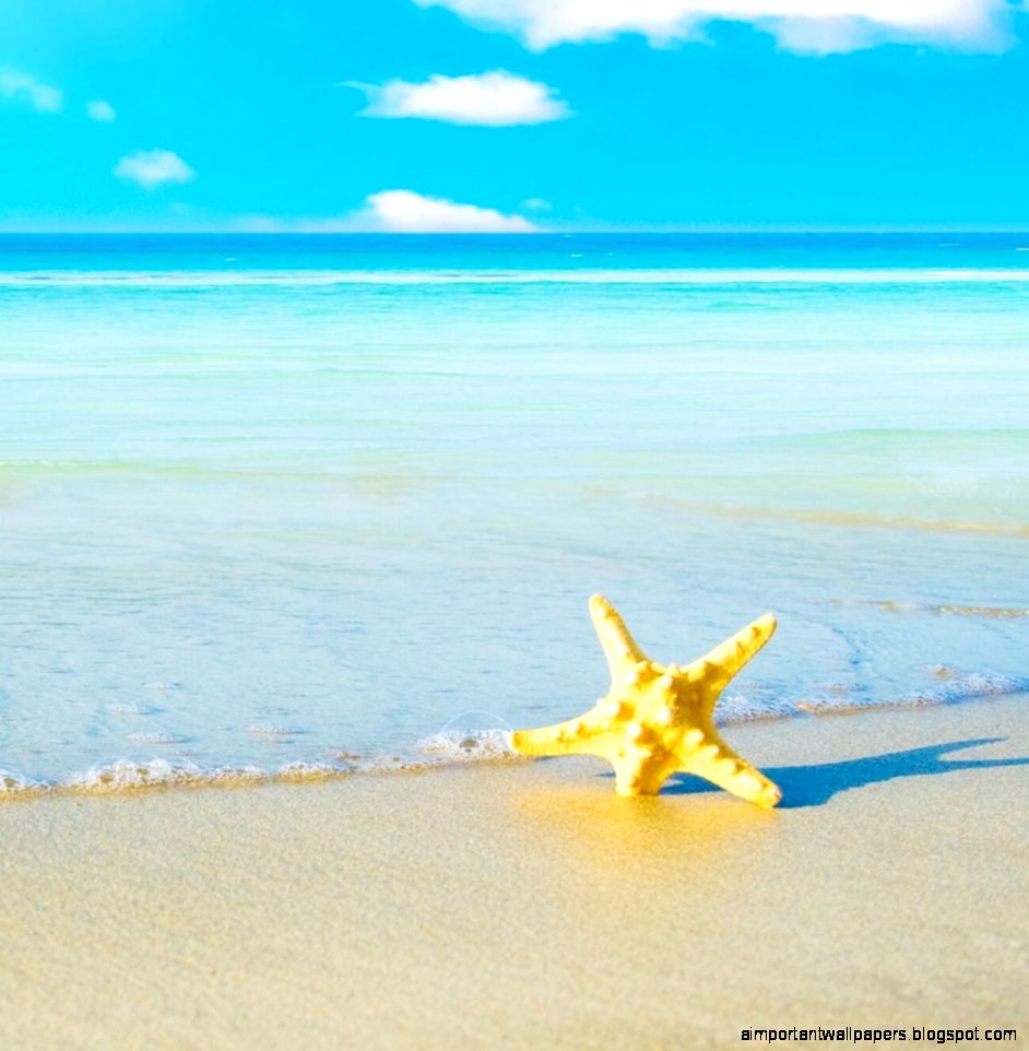 Starfish On The Beach 5 iPad Wallpaper Download iPhone Starfish On The Beach 5 iPad Wallpaper Download iPhone