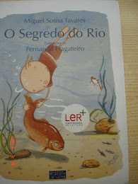 O Segredo do Rio