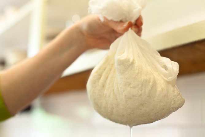 New Things: Make Cheese