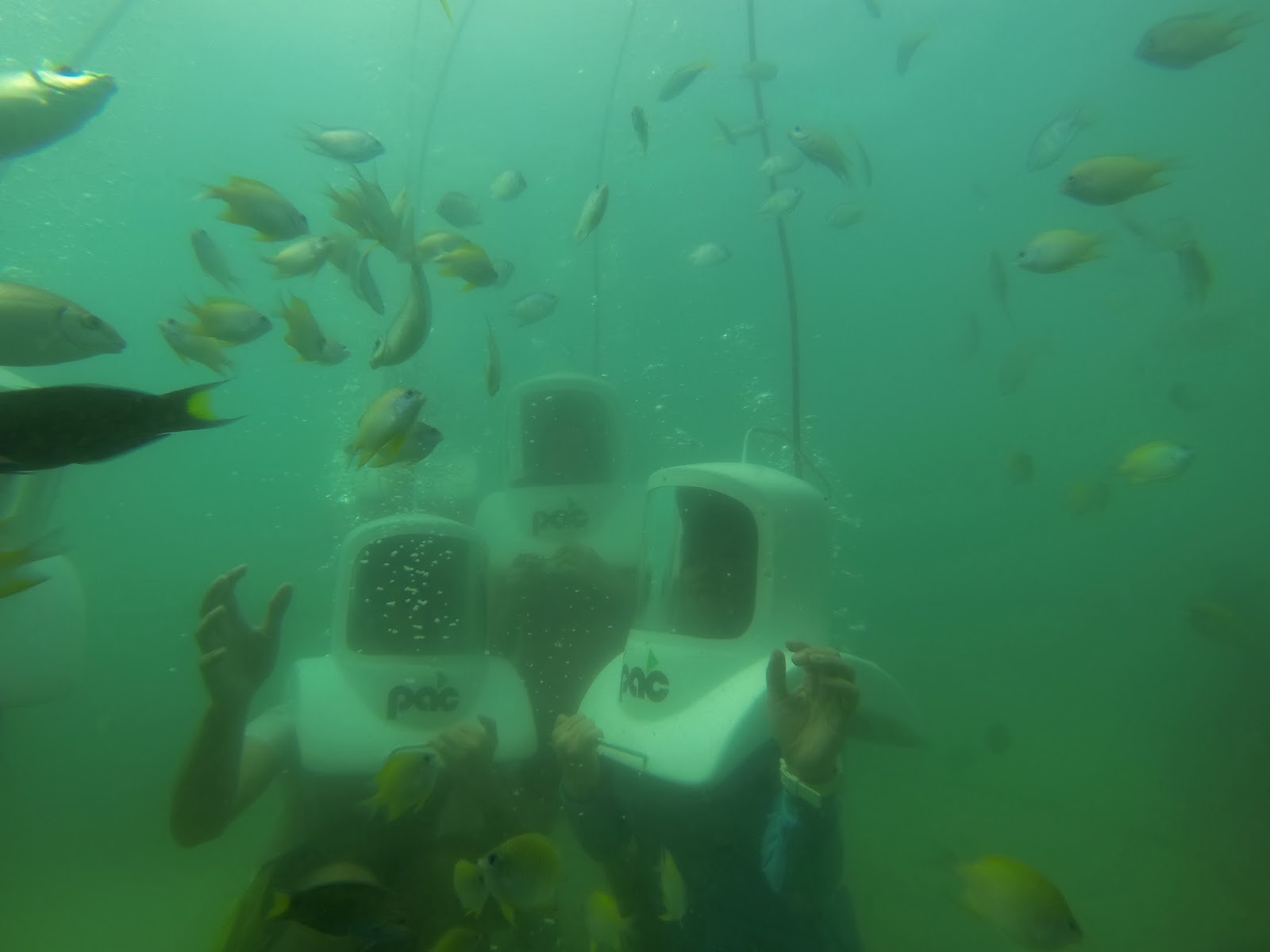H E L L O ♥ K I M M Y Helmet Diving at Governor's Island, Hundred Islands