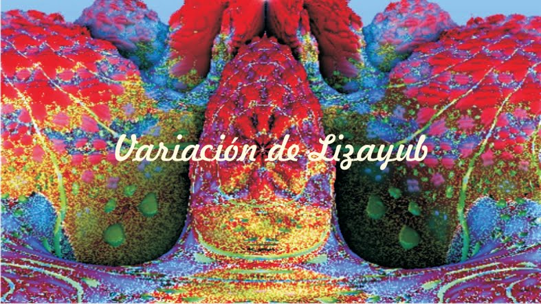 Video: Variación de Lizayub