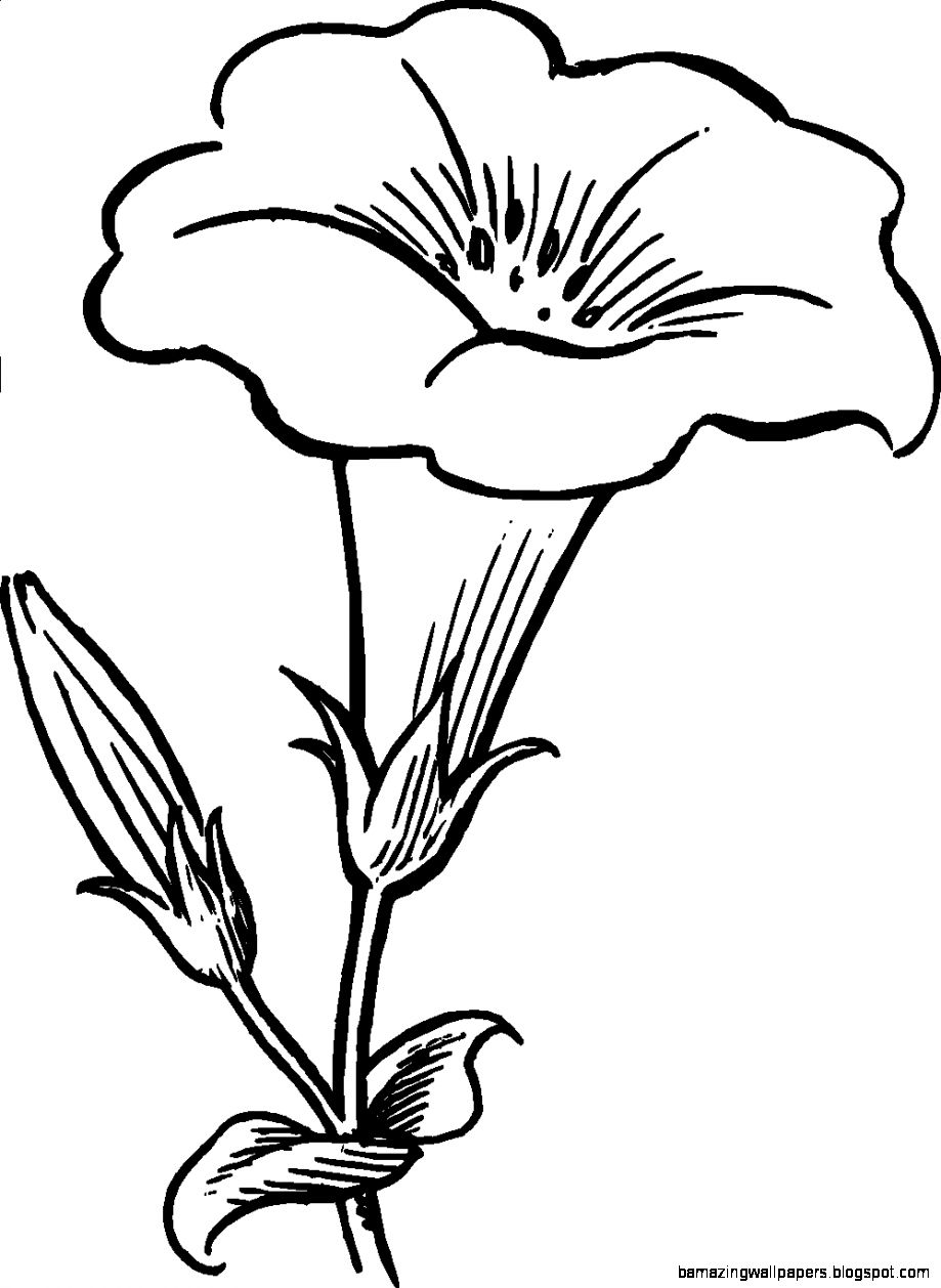 Flower Black And White Clipart Clipart Kid Flower Black And White Clipart Clipart Kid