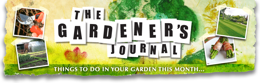 The Gardener's Journal