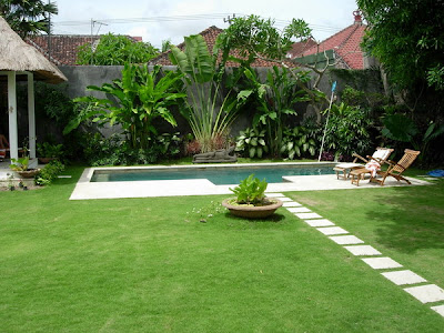 Modern Tropical Garden