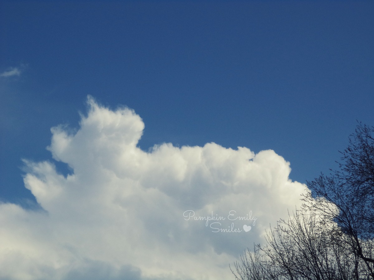 Clouds that look like a dog