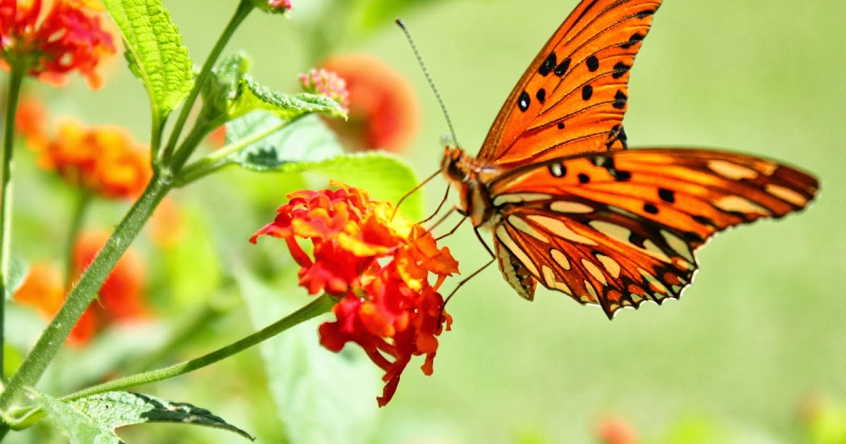 Estudios de los Escritos de Urantia / Espiritualidad / Cosmologia: La