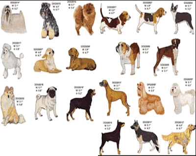 dog breeds dogs breed list alphabetical quotes animals big kinds select still popular amazing collection puppy most make