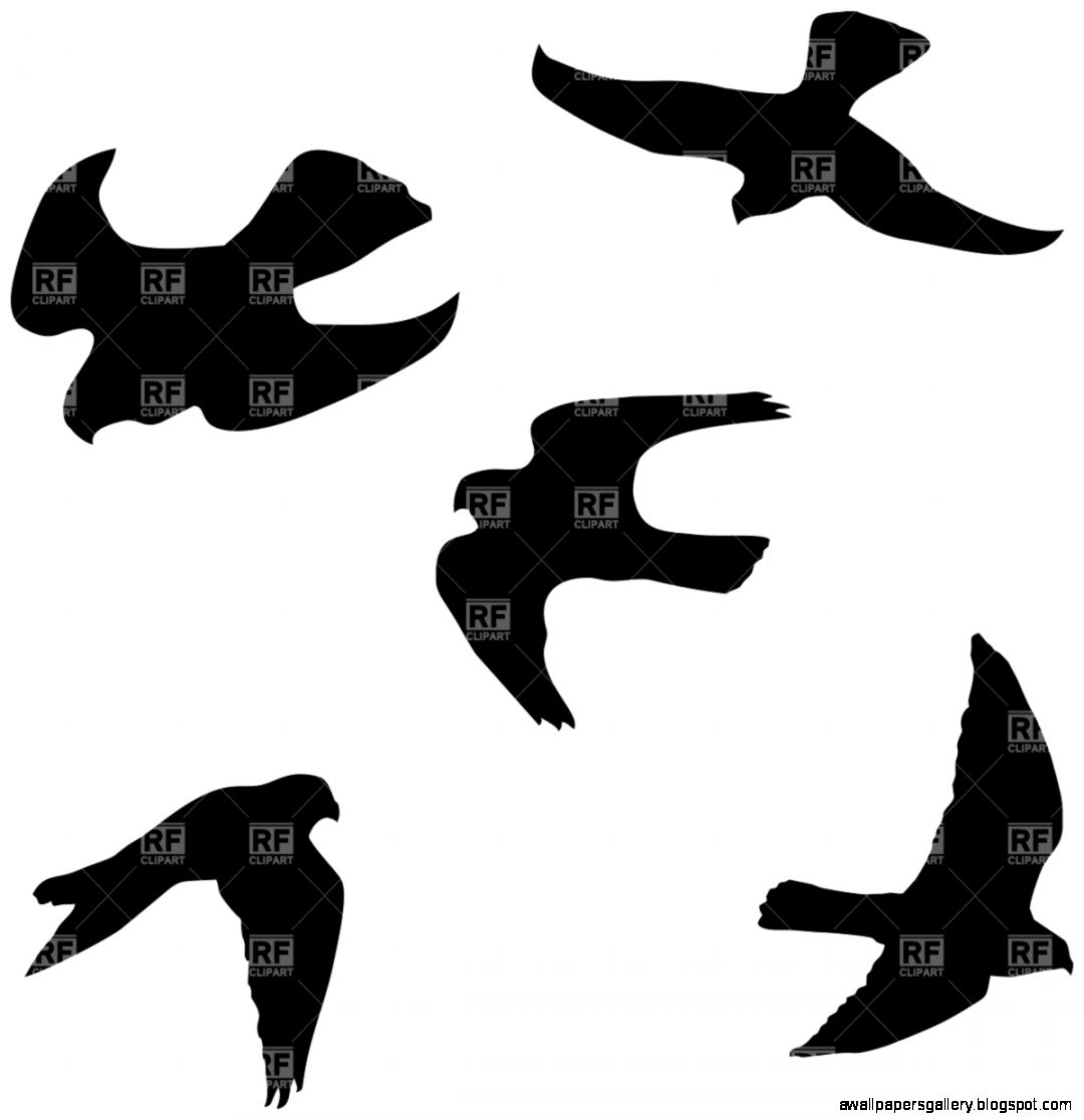 Flying Falcon Silhouette Clip Art Flying Falcon Silhouette Clip Art