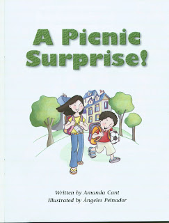 Book A Picnic Surprise