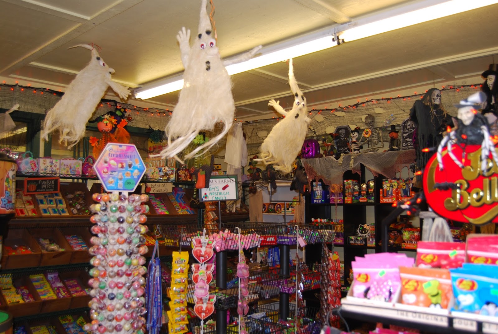 Adventures of a Semper Fi Family Tom's Farm Corona