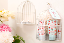 Heathcote & Ivory to launch Miniature Birdcage