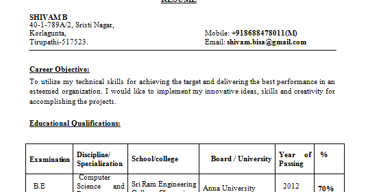 Computer software engineer resume
