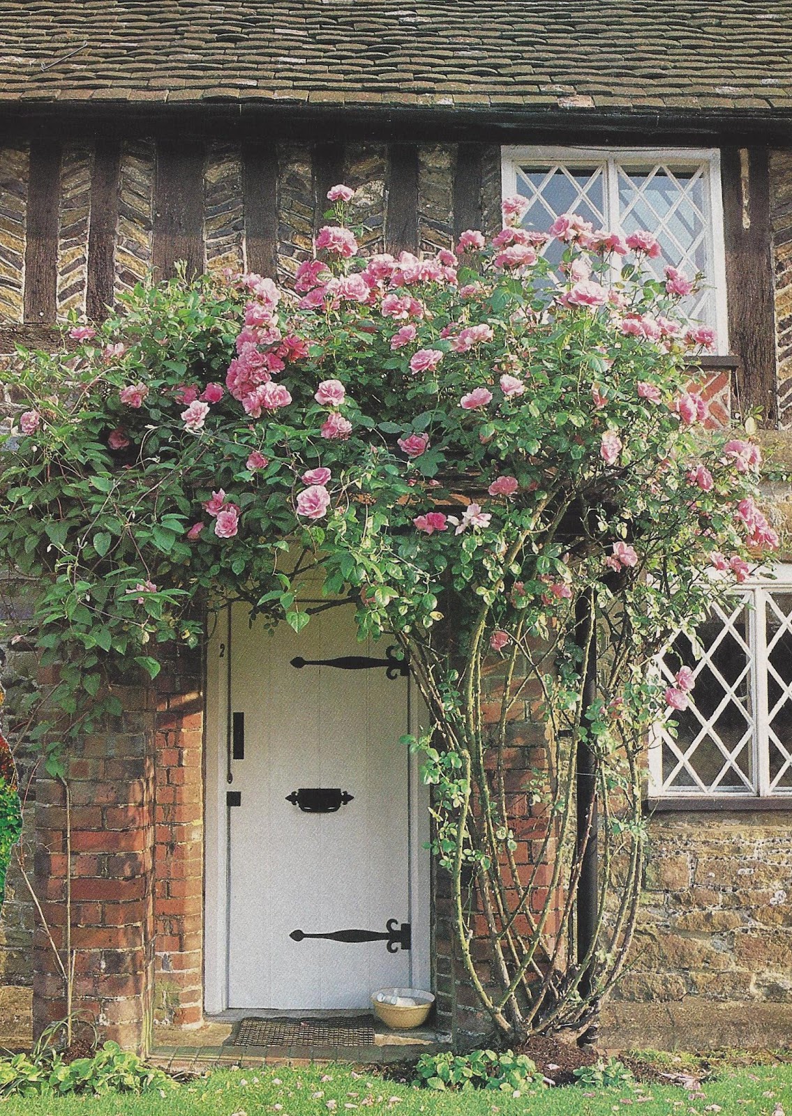 ⊱ Rose Cottage ⊱ 1 on Pinterest Cabbage Roses, Pink Roses and Cottages