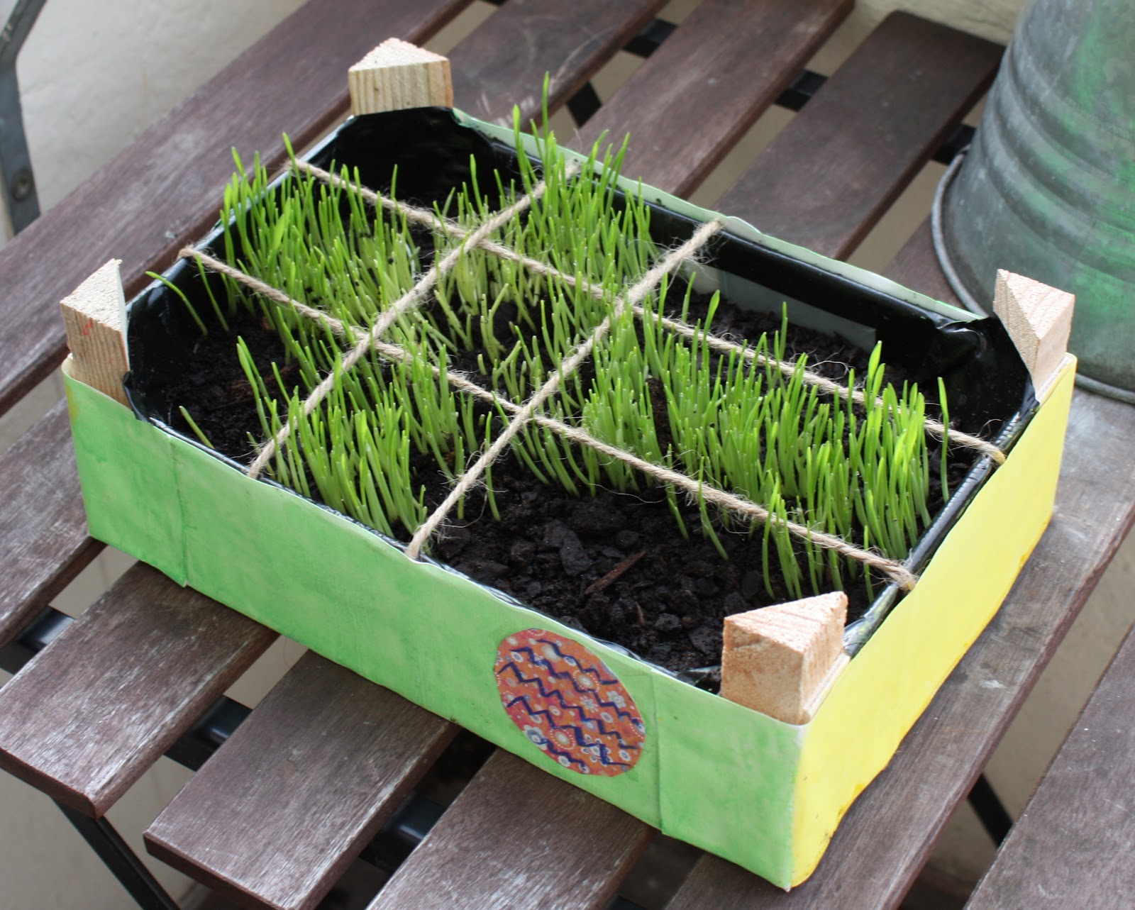 Explore and Express Growing Easter Grass in the Shape of a Cross