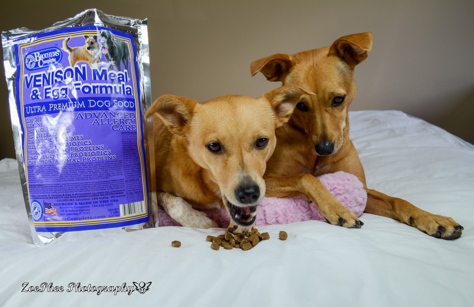 ZoePhee Brothers Complete Premium Dog Food Review
