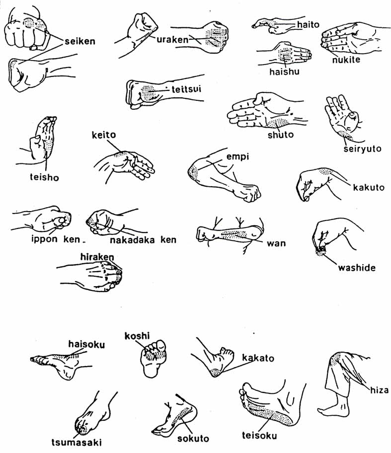 Blog de Artes Marciales por Felipe Cervantes Ruiz Aikido