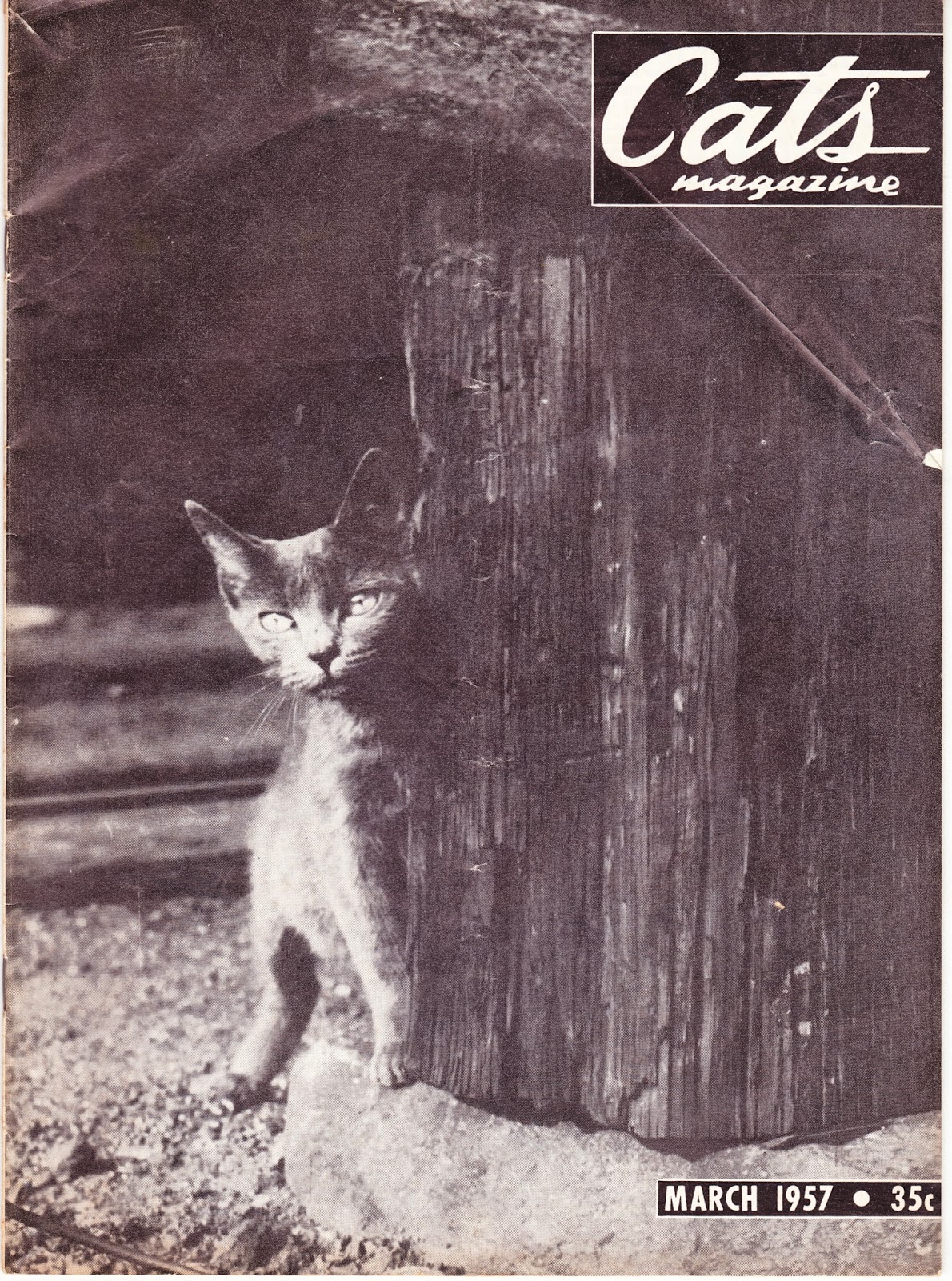 Papergreat Covers from three 1950s issues of Cats Magazine