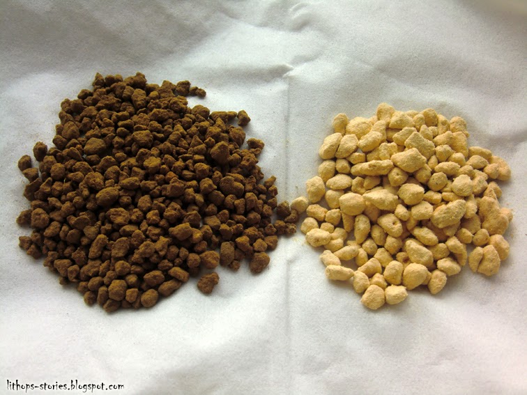 Lithops Stories Akadama & Kanuma substrate