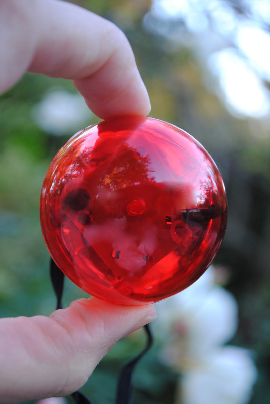 Jac o' lyn Murphy Holiday Nose Jobs...Favors and Stationery