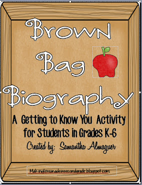 Brown Bag Biography FREEBIE