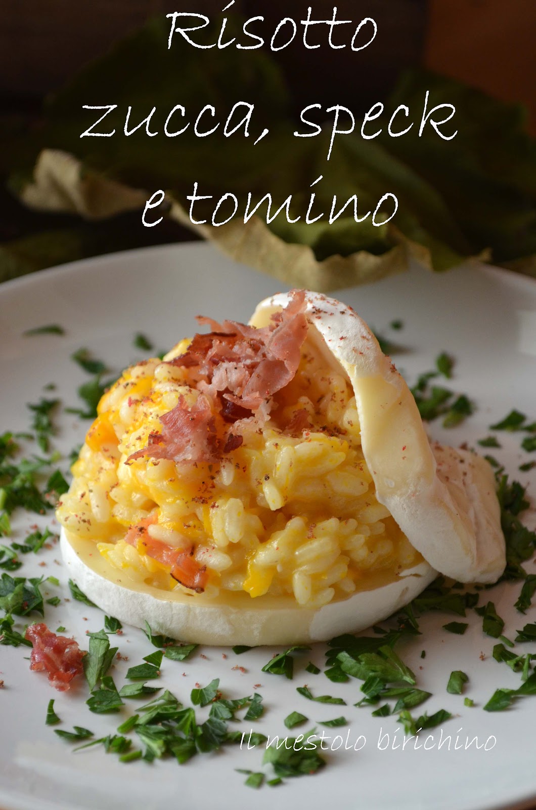 Il mestolo birichino SI RIPARTE COL RISOTTO...DI ZUCCA