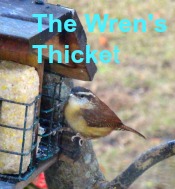 thewrensthicket.blogspot.com