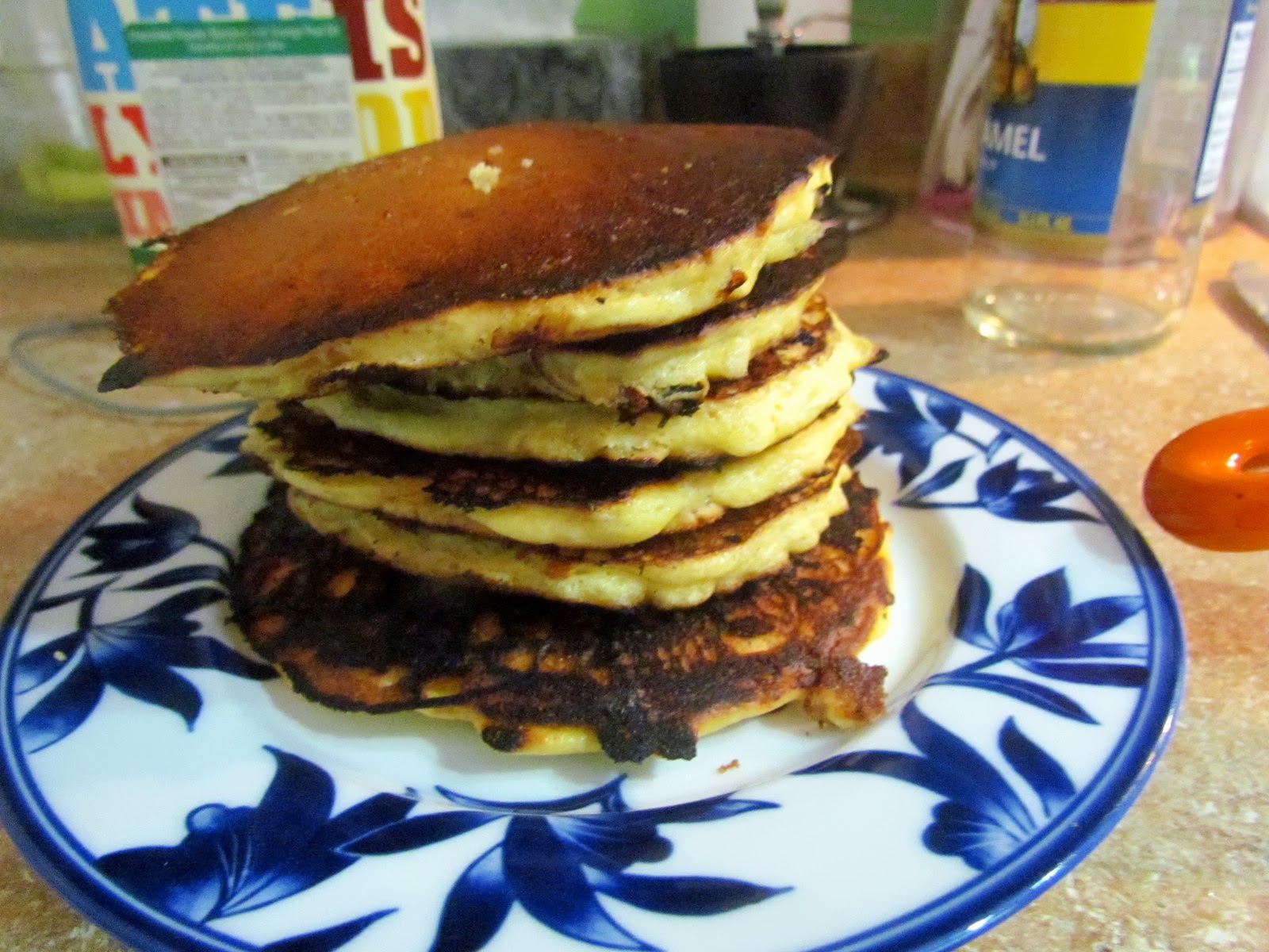 Fibermania Terry's Pancakes