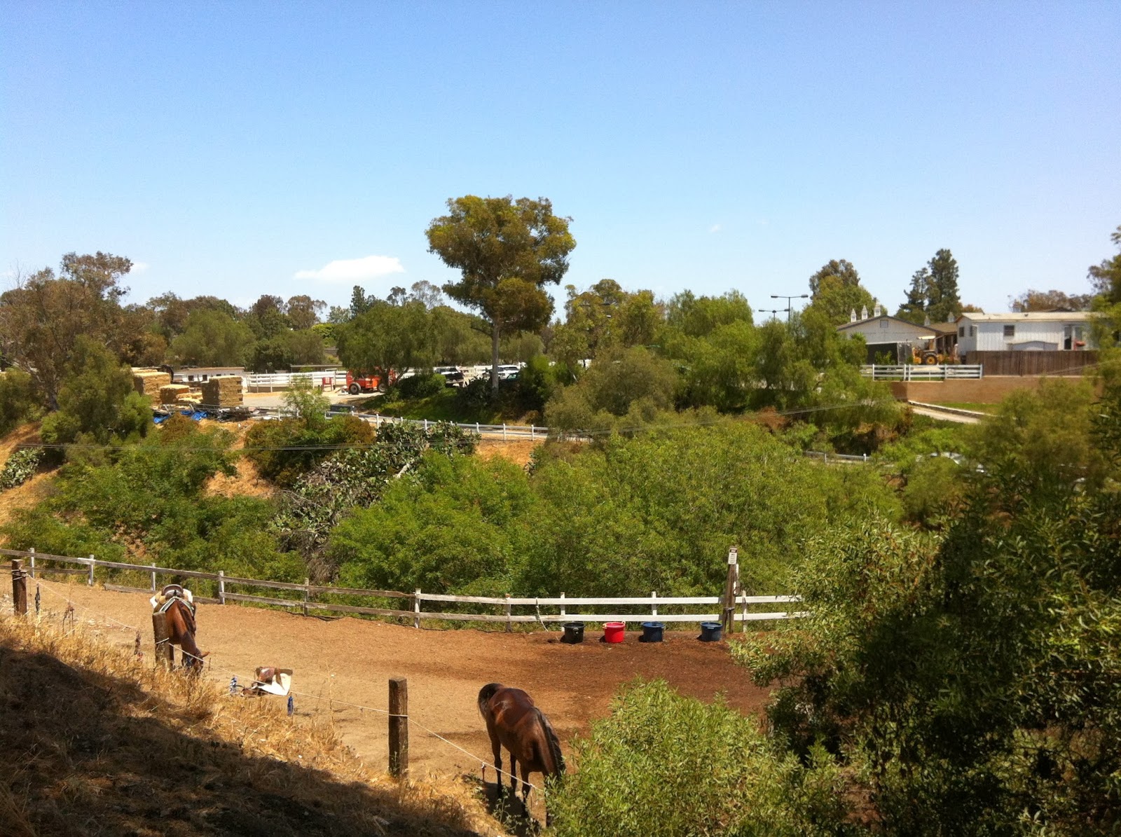 Palos Verdes Horse Property 3104938333 Palos Verdes Properties
