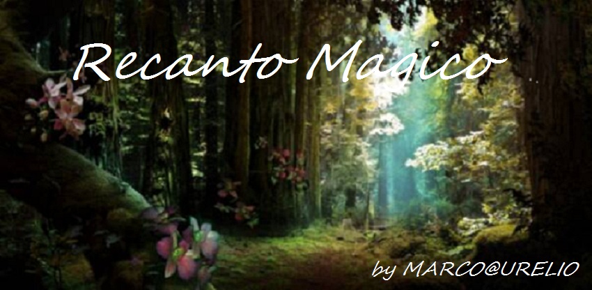 RECANTO MAGICO BY MARCO AURELIO