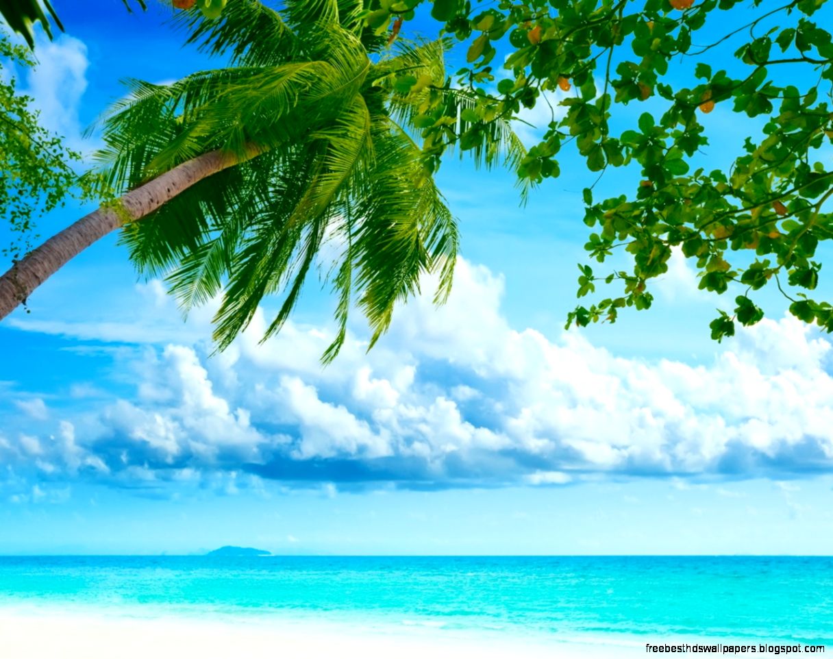 Tropical Beach Resorts HD desktop wallpaper Widescreen High Tropical Beach Resorts HD desktop wallpaper Widescreen High