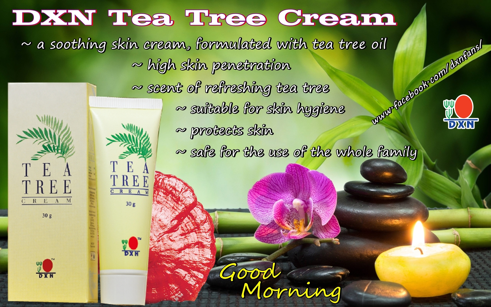 Tea tree cream, Soothing skin, Tea tree oil