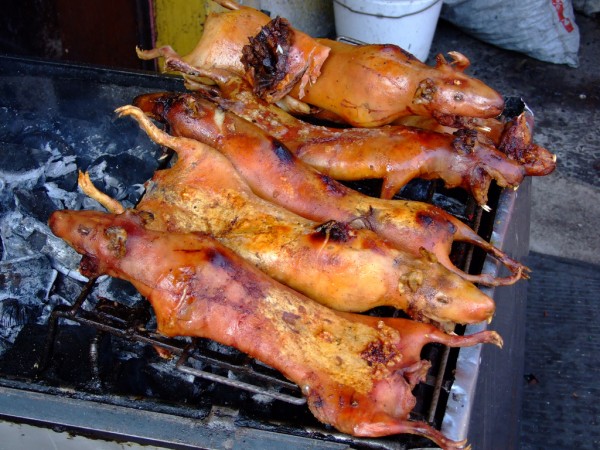 Glimpses and Glances: Strange Food Around the World (Warning