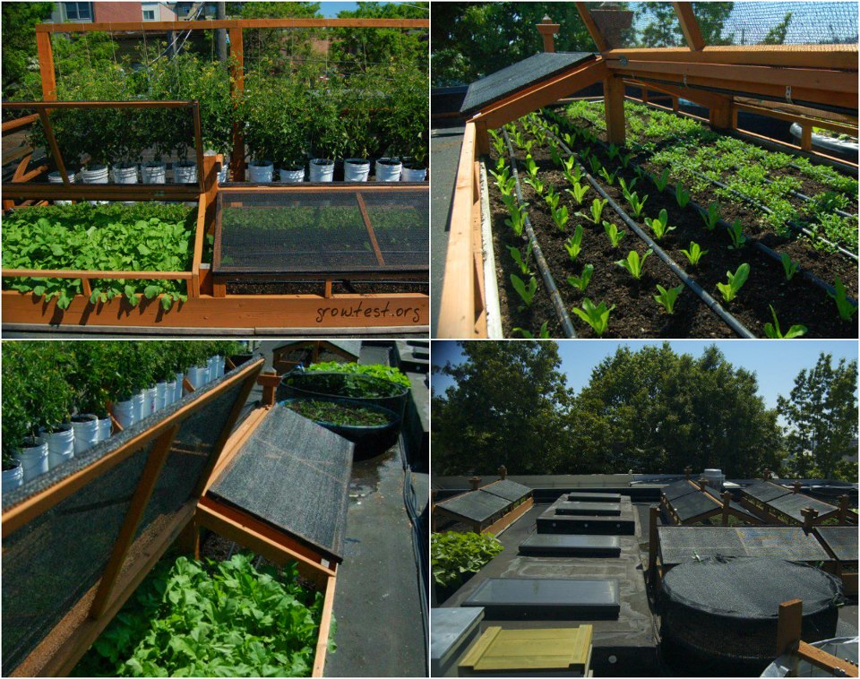 Mil ideas para la casa y el jardin ♥: Ideas para el huerto en casa