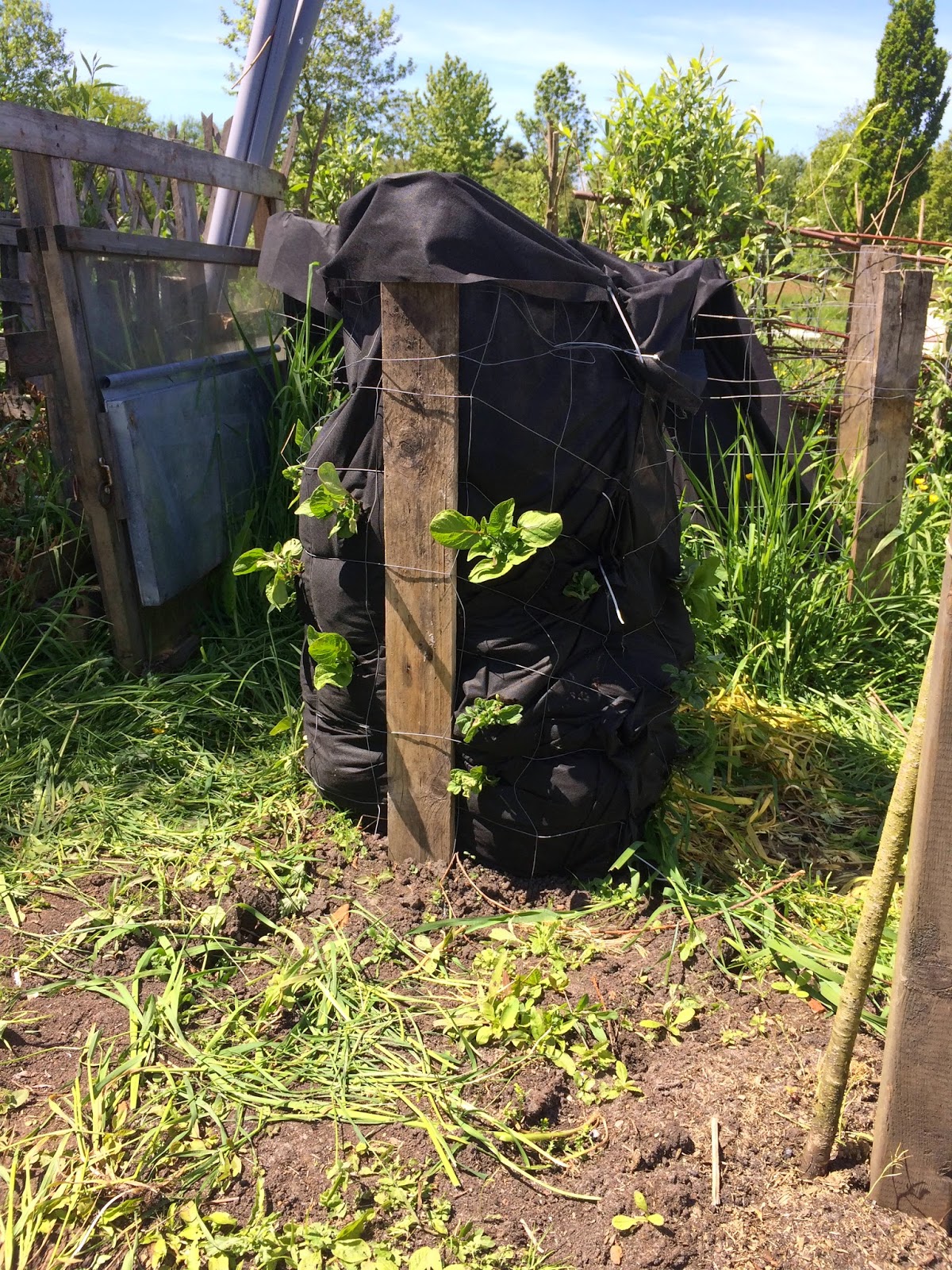 Moestuin verhalen