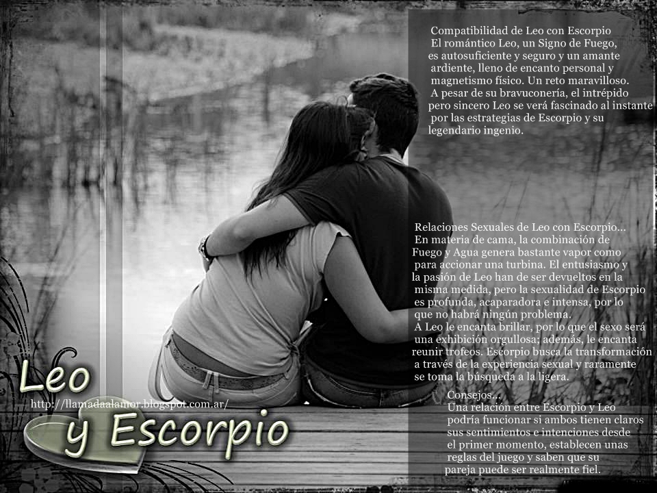 HOMBRE LEO AMOR hombre leo amor: