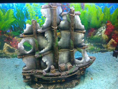 aquariumship decoration accessories