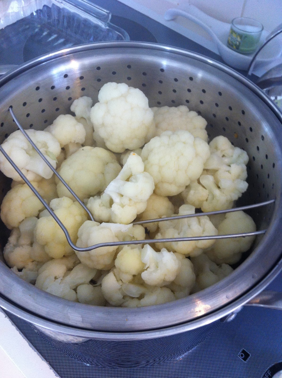 Amanda Raw Plant based eating Forks Over Knives Lasagna & Soups