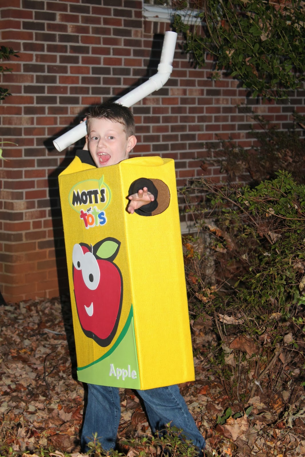 Harris Sisters GirlTalk DIY Juice Box Halloween Costume