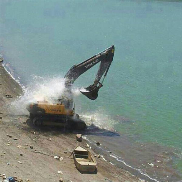 Lustige Bilder Tiere Die Heiss Haben Watson