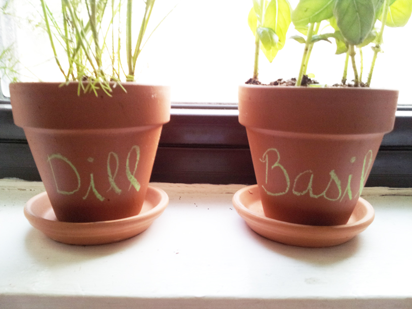 New Girl Old Town: Indoor Gardening