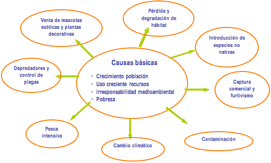 preguntas basicas de diseño grafico mi diario blog profesional medioambiental la extinci 243 n de preguntas basicas de diseño grafico mi diario blog profesional medioambiental la extinci 243 n de
