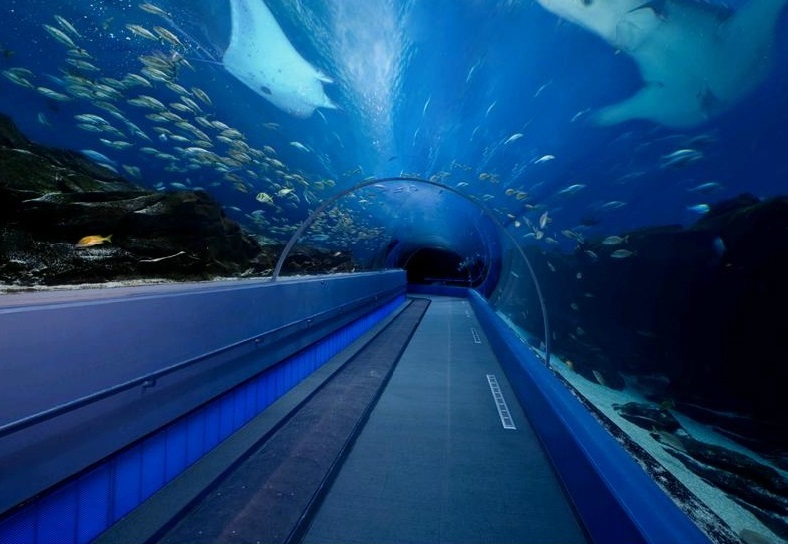 Splendour eye Aquarium The Largest Aquarium in the World