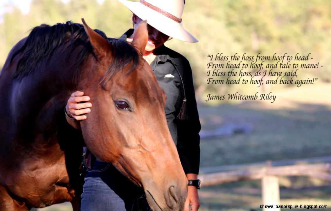 FunMozar – Horse Quotes and Sayings FunMozar – Horse Quotes and Sayings