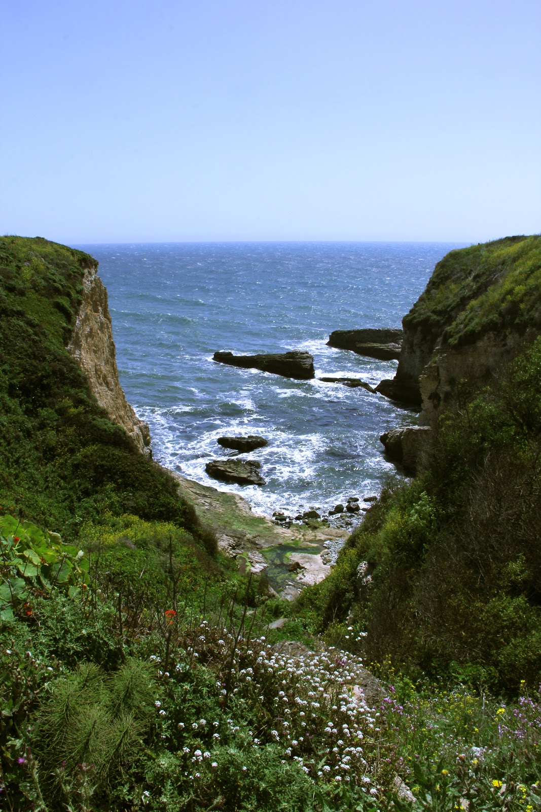 Love, Neffie: Panther Beach, Santa Cruz