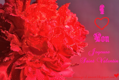 Joyeuse Saint valentin carte de saint valentin
