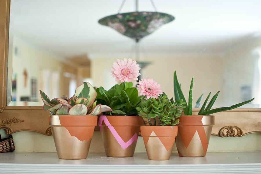 My Trash and Treasure diy painted plant pots