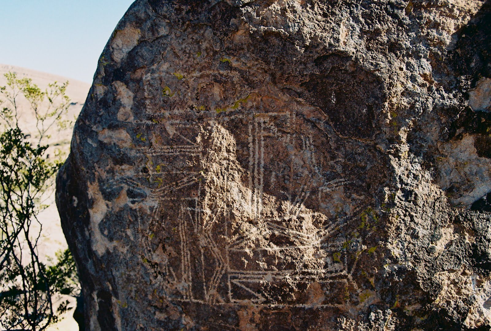 Southern New Mexico Explorer Rincon Palm Park