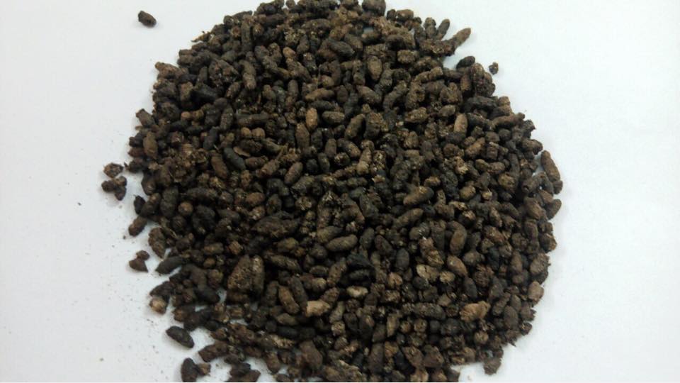 ORGANIC FERTILIZER BAT GUANO (BAT MANURE)