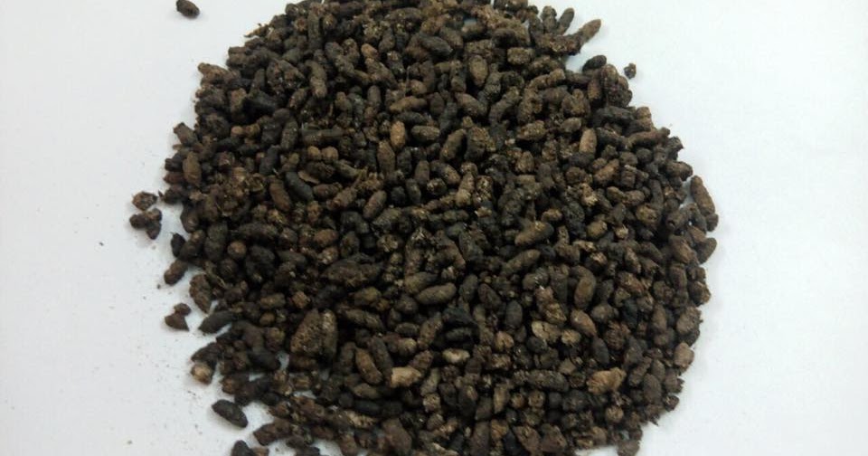 ORGANIC FERTILIZER BAT GUANO (BAT MANURE)