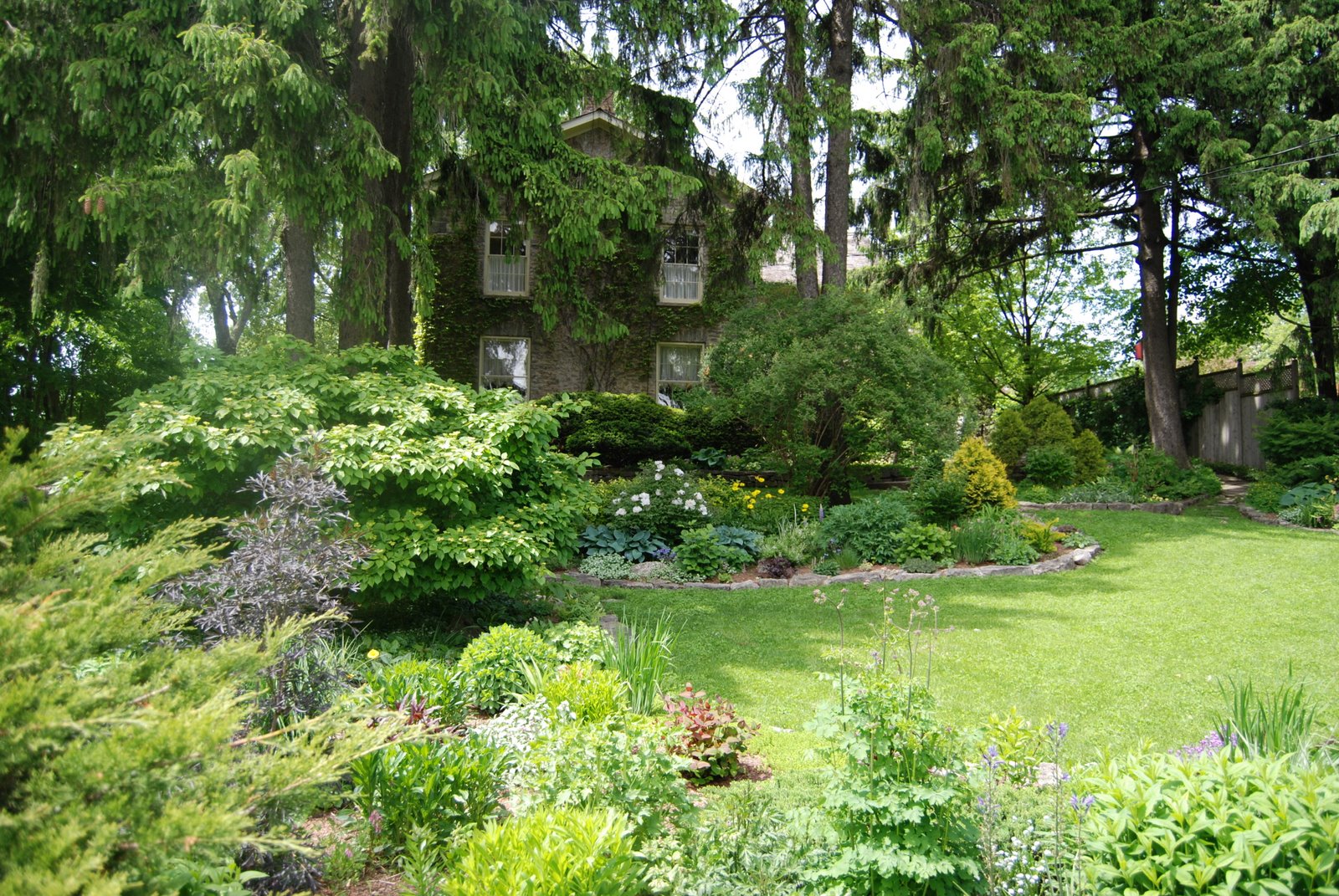 A New Owner, A Revitalization in the Making! Teza's Hortus Magnificum